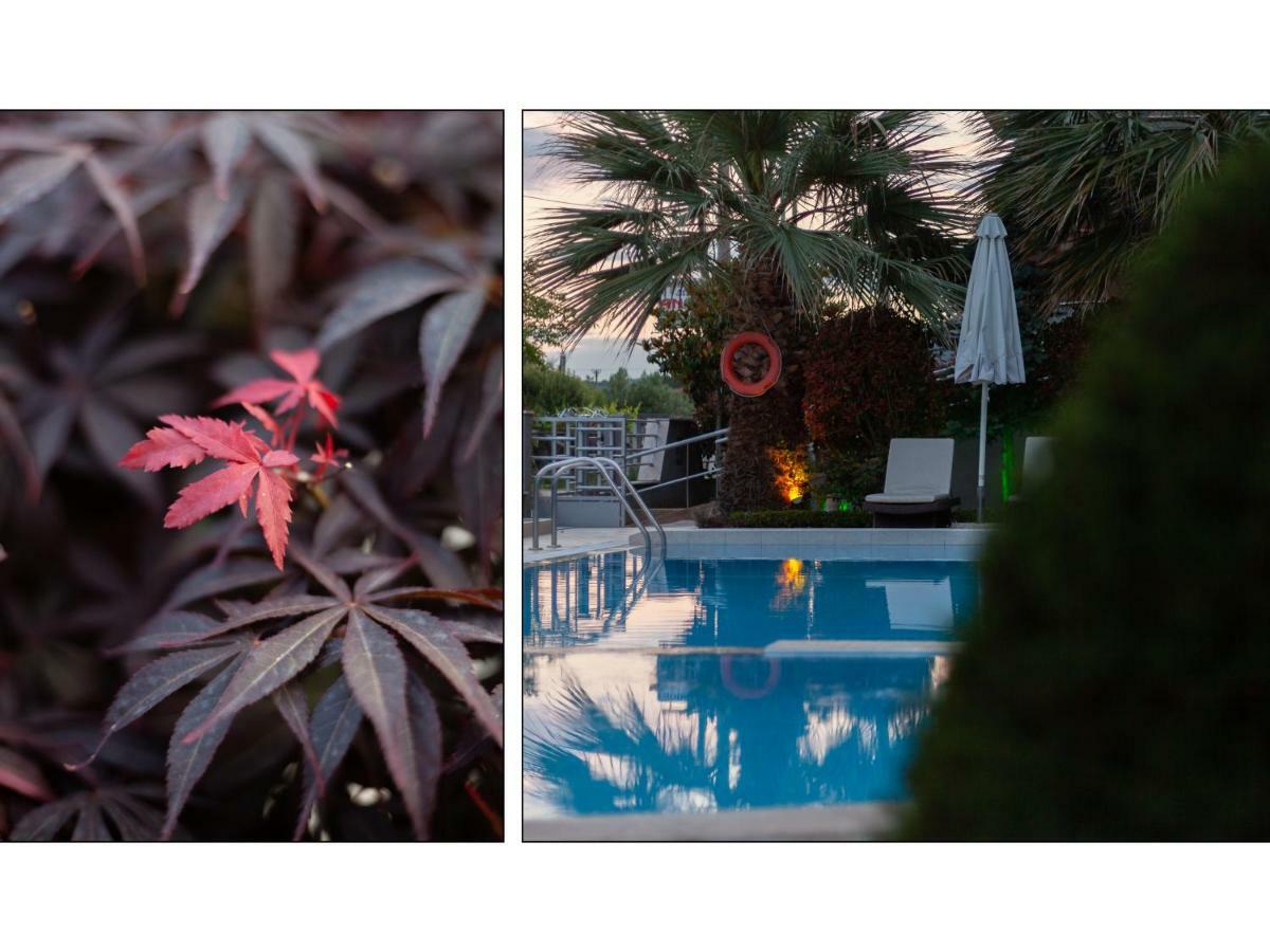 Anthodi Hotelスタブロス エクステリア 写真